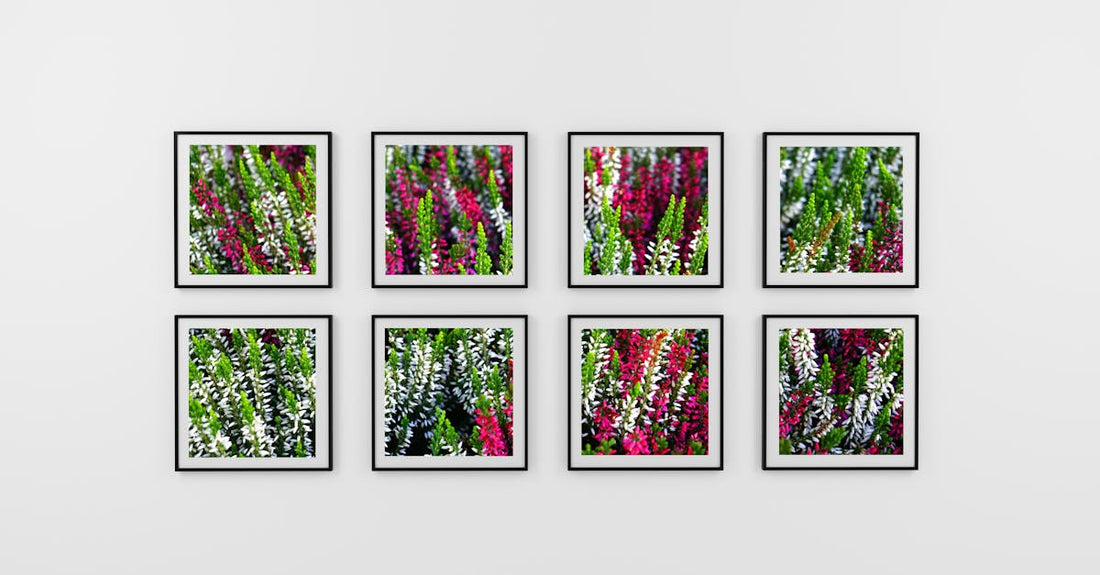 How to Curate a Personalized Gallery Wall with Unique TopoPhoto Frames - MAOS Solutions