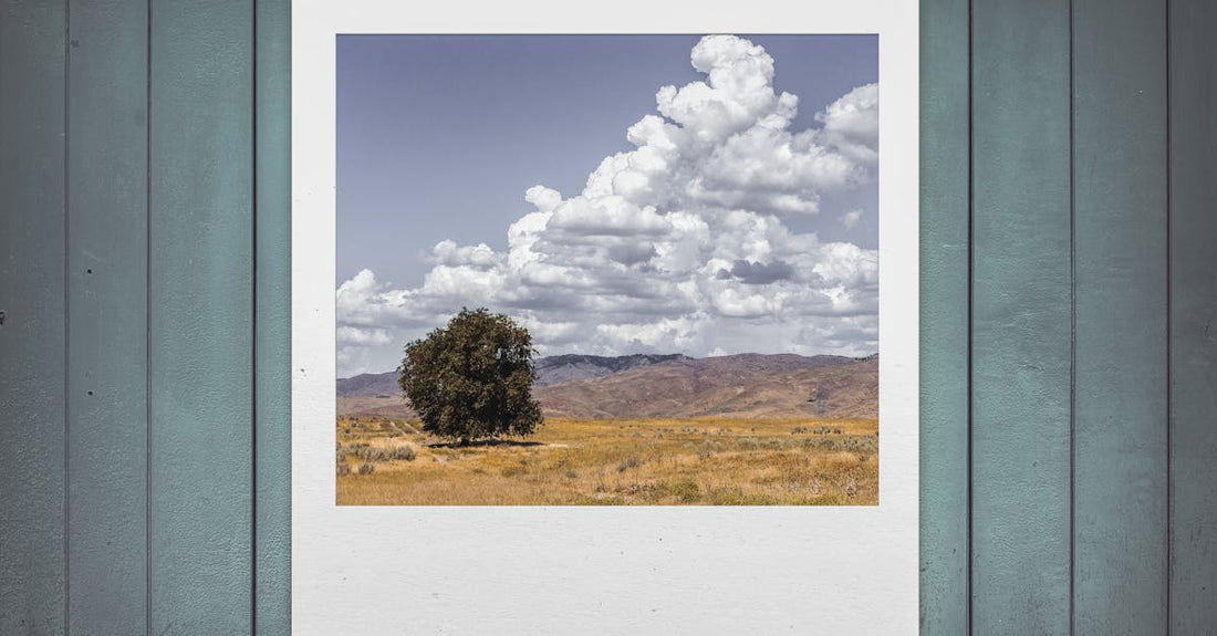 Non‑Toxic Picture Frames: Materials to Trust and How We Build Them at MAOS