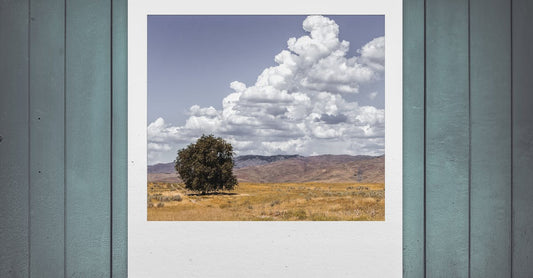 Non‑Toxic Picture Frames: Materials to Trust and How We Build Them at MAOS