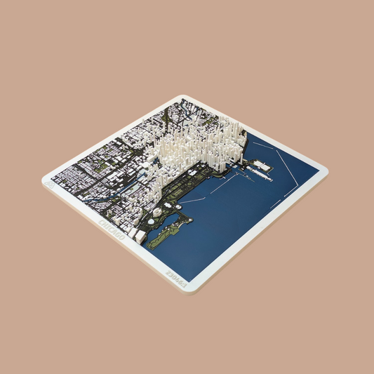 TopoMap - City - Chicago