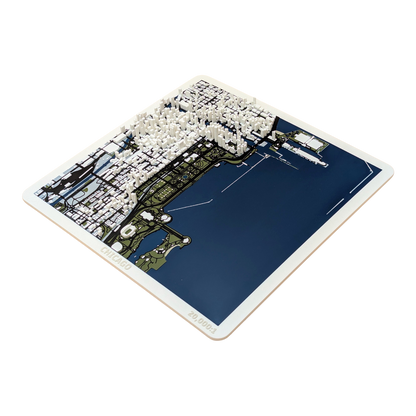 TopoMap - City - Chicago