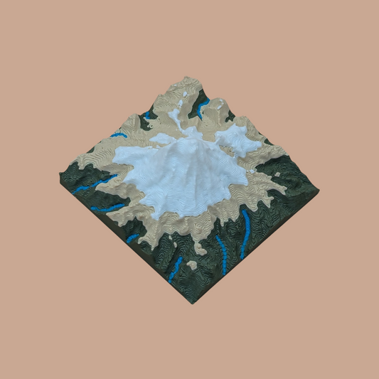 TopoMap - National Park - Rainier